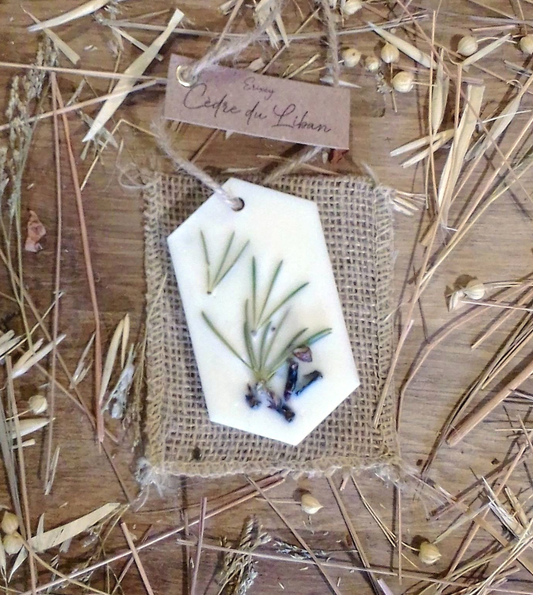 Scented suspension / Cedar of Lebanon